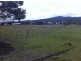 Coles Bay TAS 7215