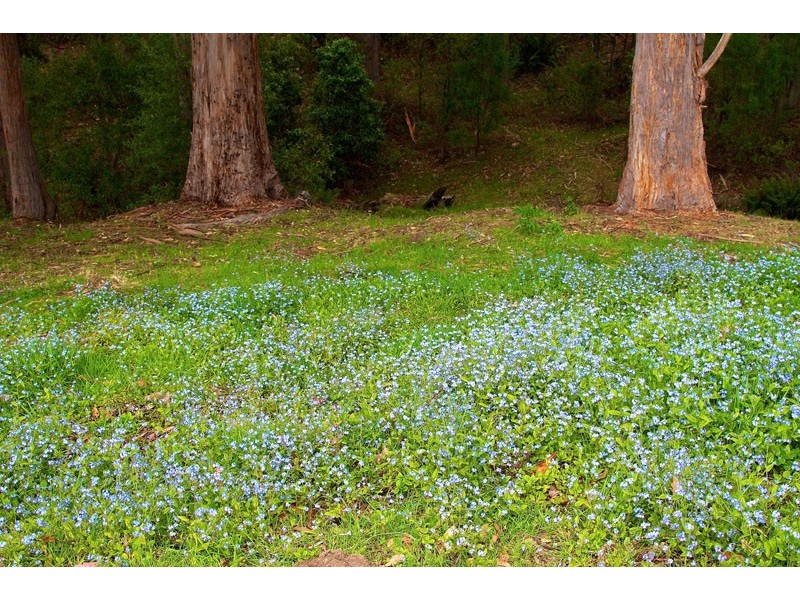 307 Strickland Avenue, South Hobart TAS 7004