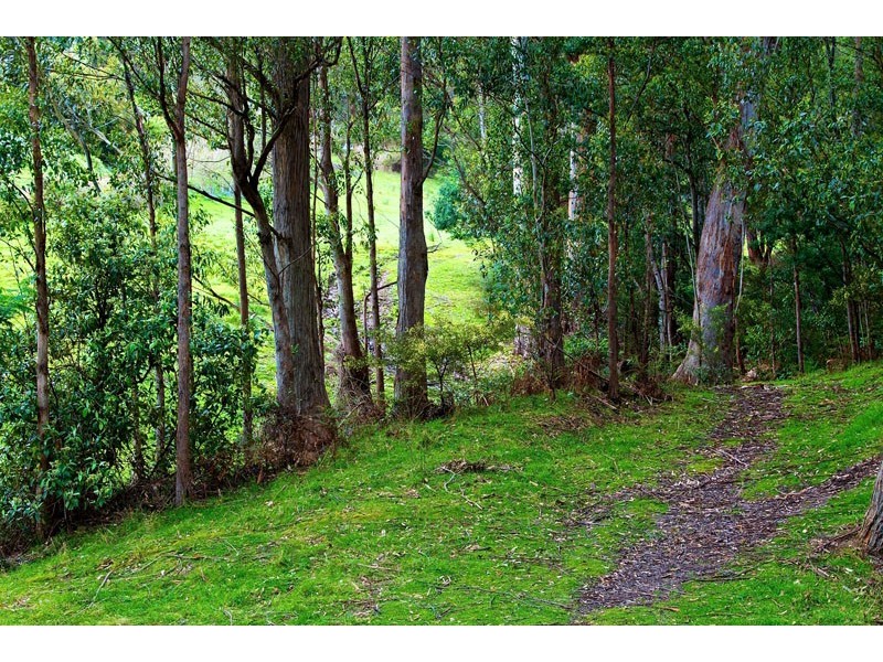 307 Strickland Avenue, South Hobart TAS 7004