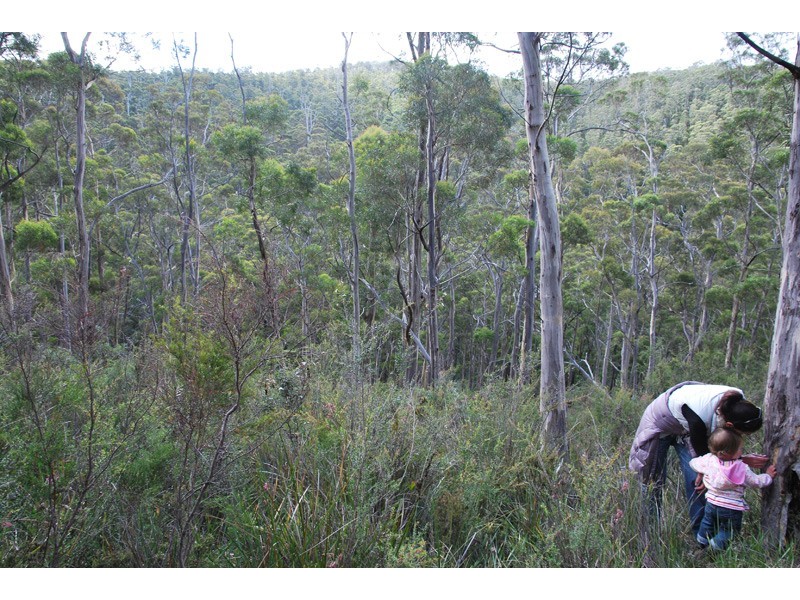 96a Folio 1 Summerleas Rd, Fern Tree TAS 7054