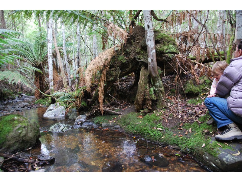 96a Folio 1 Summerleas Rd, Fern Tree TAS 7054