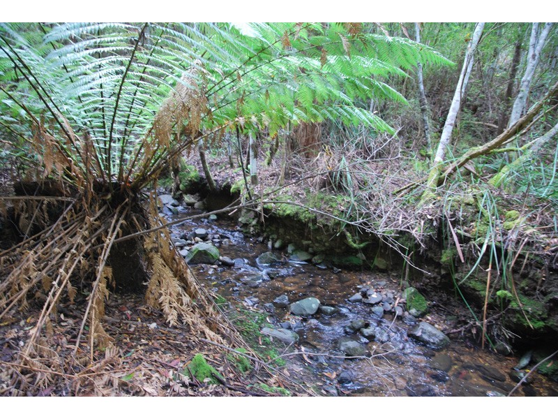 96a Folio 1 Summerleas Rd, Fern Tree TAS 7054