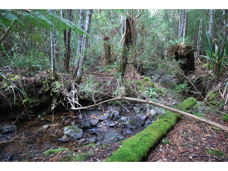 96a Folio 1 Summerleas Rd, Fern Tree TAS 7054