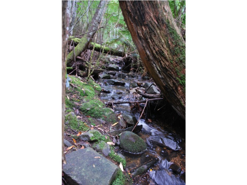 96a Folio 1 Summerleas Rd, Fern Tree TAS 7054