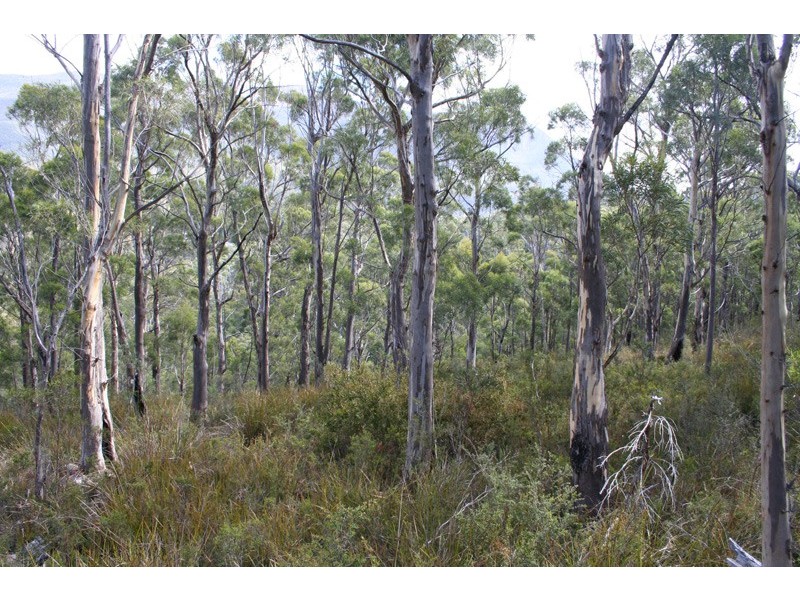 96a Folio 1 Summerleas Rd, Fern Tree TAS 7054