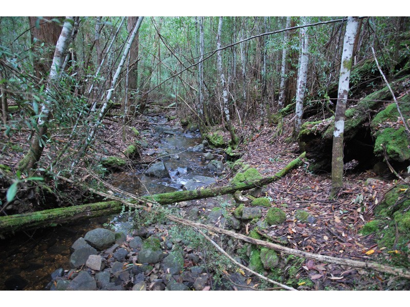 96a Folio 1 Summerleas Rd, Fern Tree TAS 7054