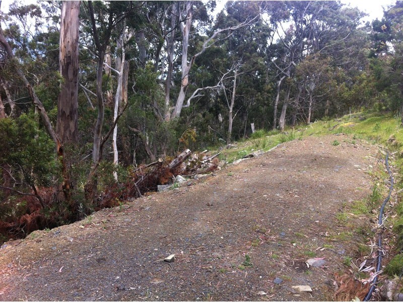 96a Folio 1 Summerleas Rd, Fern Tree TAS 7054