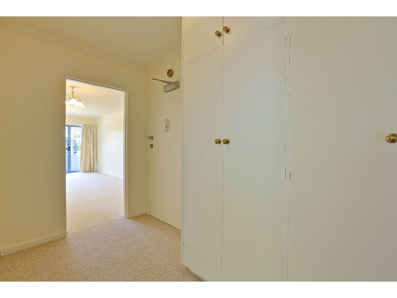 3/1 Fisher Avenue, Sandy Bay TAS 7005