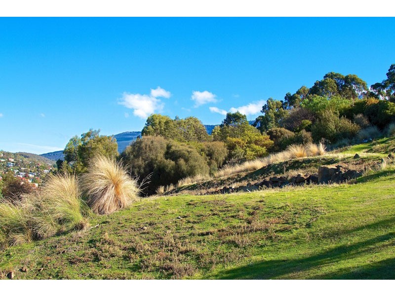 17 Cosgrove Avenue, South Hobart TAS 7004