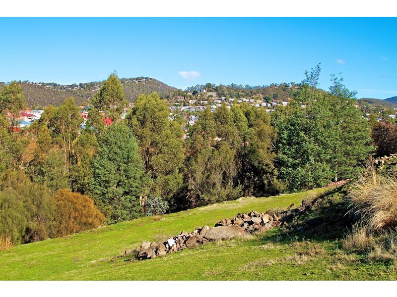 17 Cosgrove Avenue, South Hobart TAS 7004