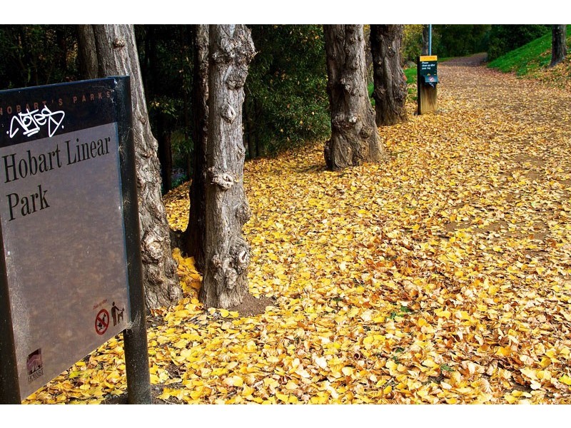 17 Cosgrove Avenue, South Hobart TAS 7004