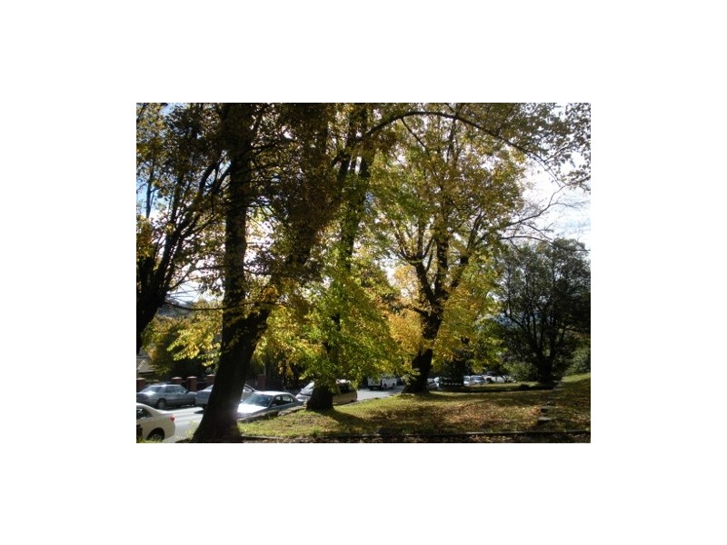 5/294 Davey Street, Hobart TAS 7000