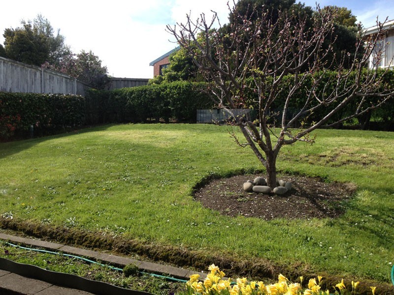 522 Churchill Avenue, Sandy Bay TAS 7005