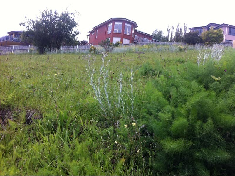 26 Shirley Boulevard, Lenah Valley TAS 7008