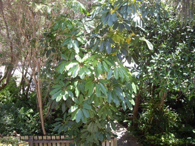 Woorim QLD 4507