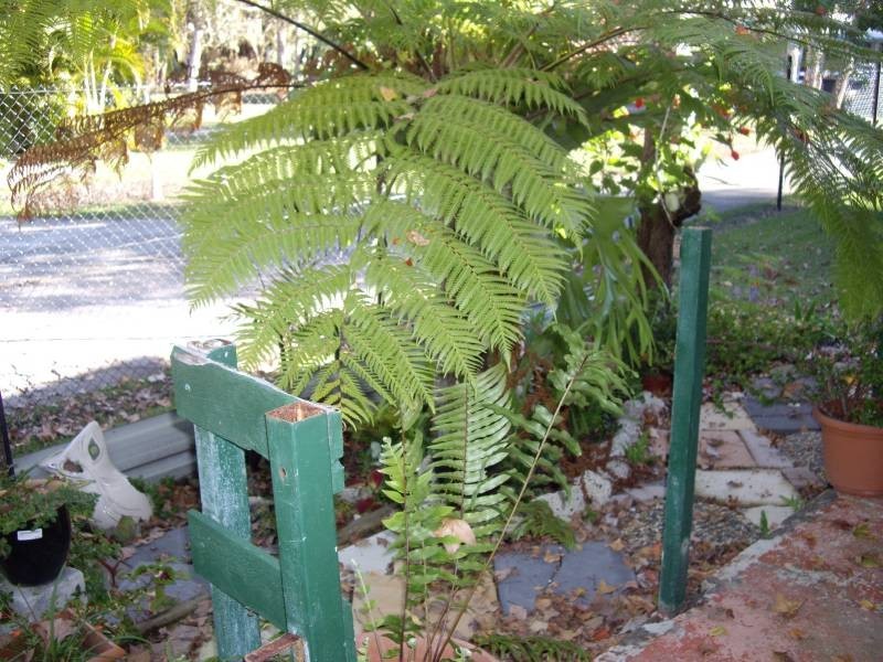 205 Bongaree Caravan Park, Bongaree QLD 4507