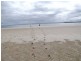 Bongaree QLD 4507