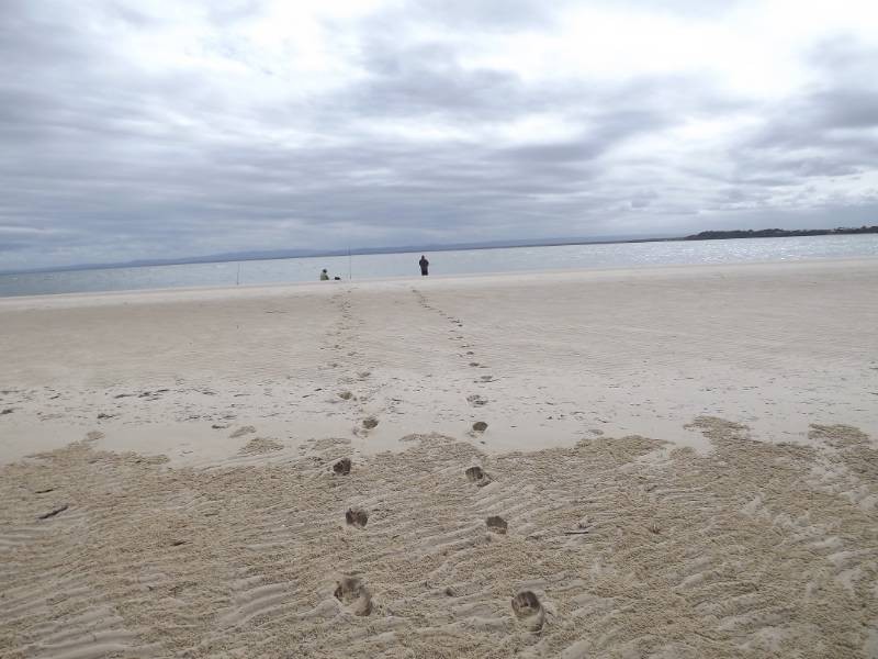 Bongaree QLD 4507