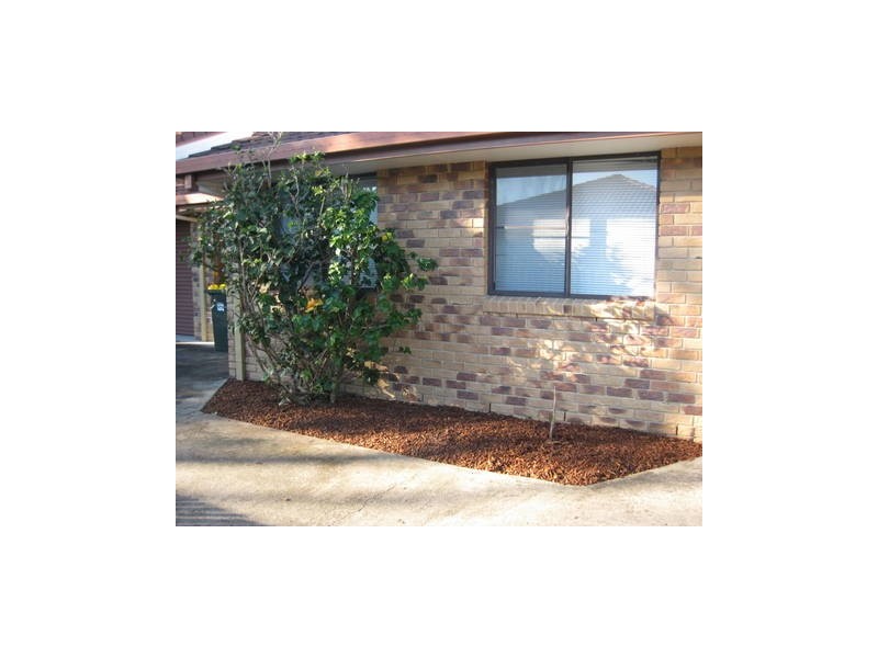 55 Coolgarra Avenue, Bongaree QLD 4507