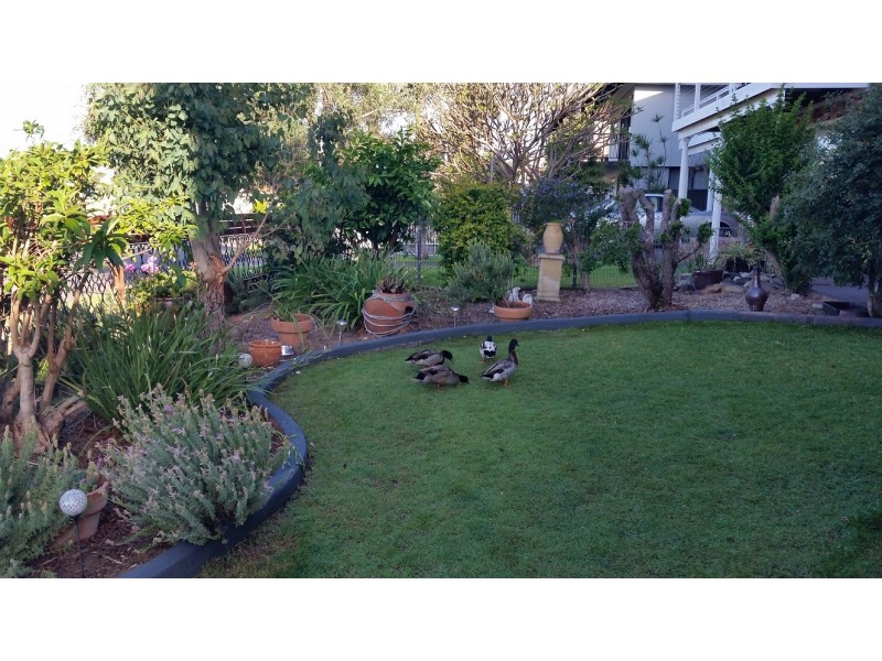 30 Kullaroo Road, Summerland Point NSW 2259