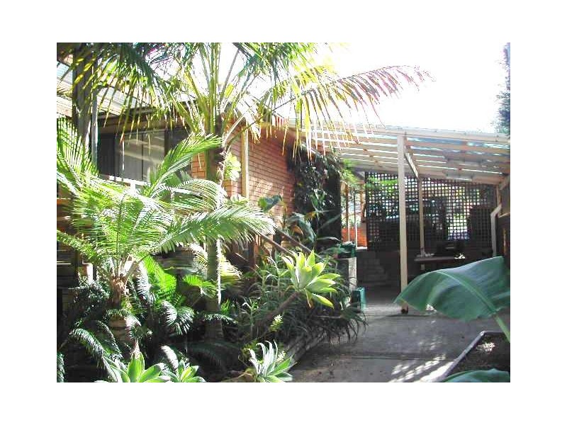 Halekulani NSW 2262