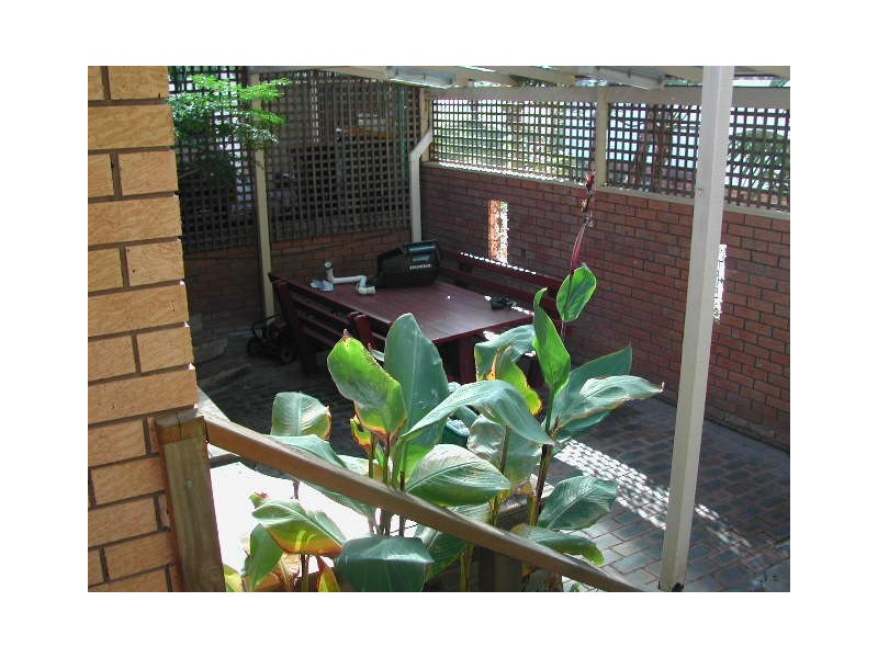 Halekulani NSW 2262