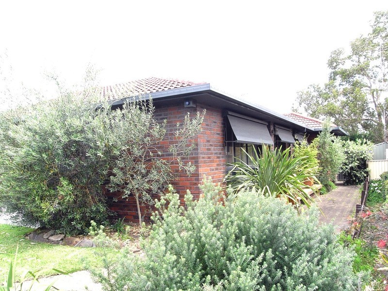 Budgewoi NSW 2262