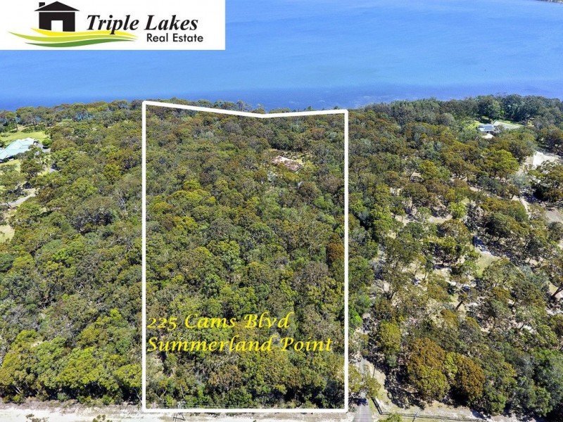 225 cams blvd, Summerland Point NSW 2259