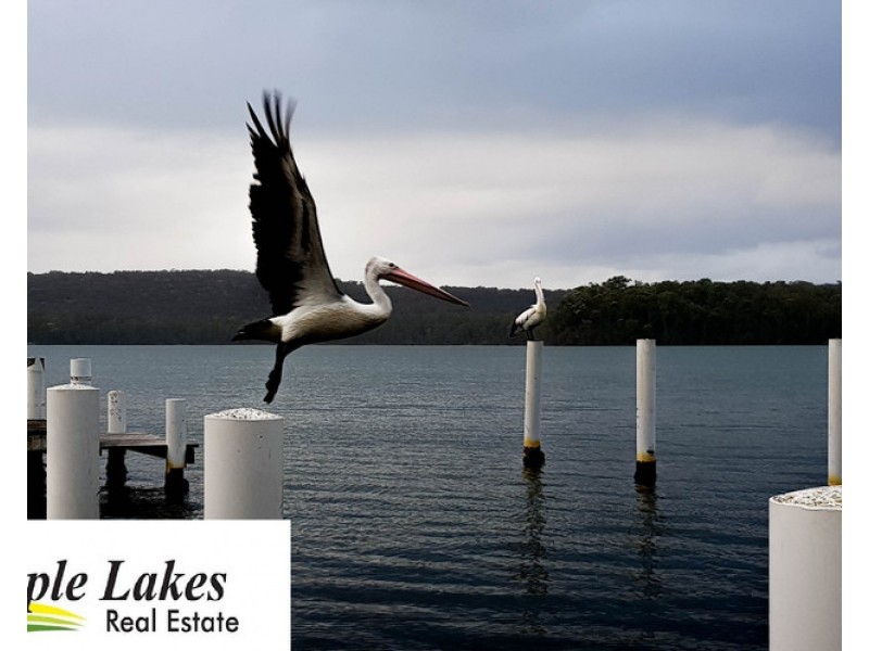 155 Winbin Crescent, Gwandalan NSW 2259