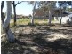 6 Windward Crescent, Gwandalan NSW 2259