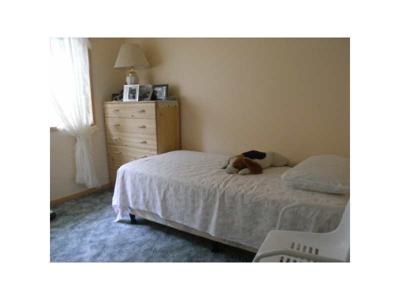 Budgewoi NSW 2262
