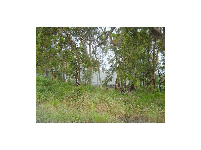 13 Woolana Avenue, Budgewoi NSW 2262