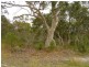 23 Tulkaba Road, Wyee NSW 2259