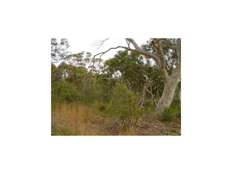 23 Tulkaba Road, Wyee NSW 2259
