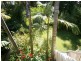 1 Birrabang Avenue, Summerland Point NSW 2259