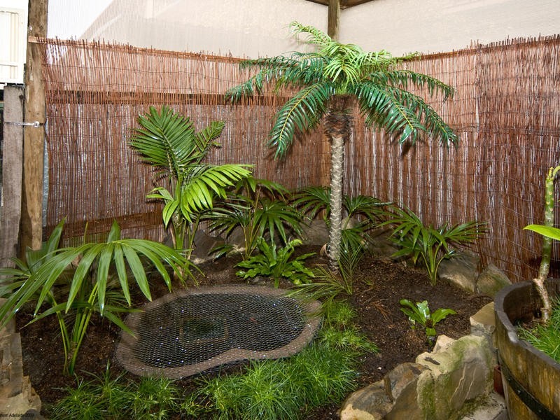 12/118 Lipsett Terrace, Brooklyn Park SA 5032