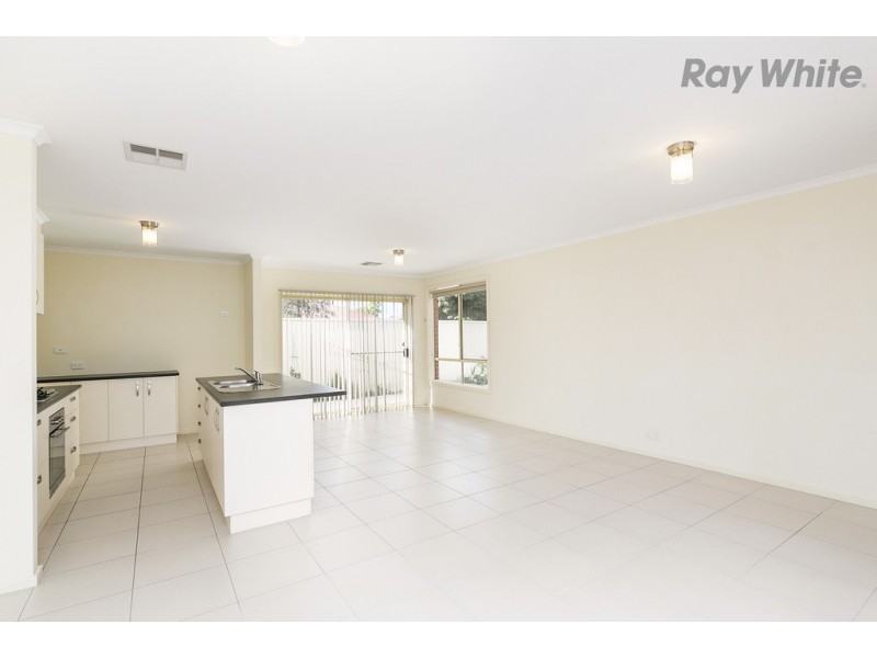 55A Stuart Road, South Plympton SA 5038