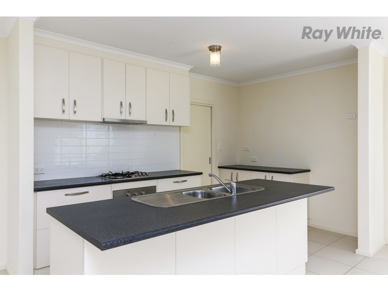 55A Stuart Road, South Plympton SA 5038
