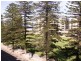 504/25 Colley Terrace, Glenelg SA 5045