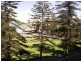 504/25 Colley Terrace, Glenelg SA 5045