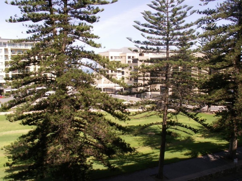 504/25 Colley Terrace, Glenelg SA 5045