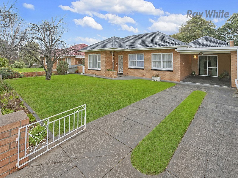 37 Pine Avenue, Warradale SA 5046