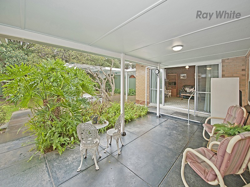 37 Pine Avenue, Warradale SA 5046