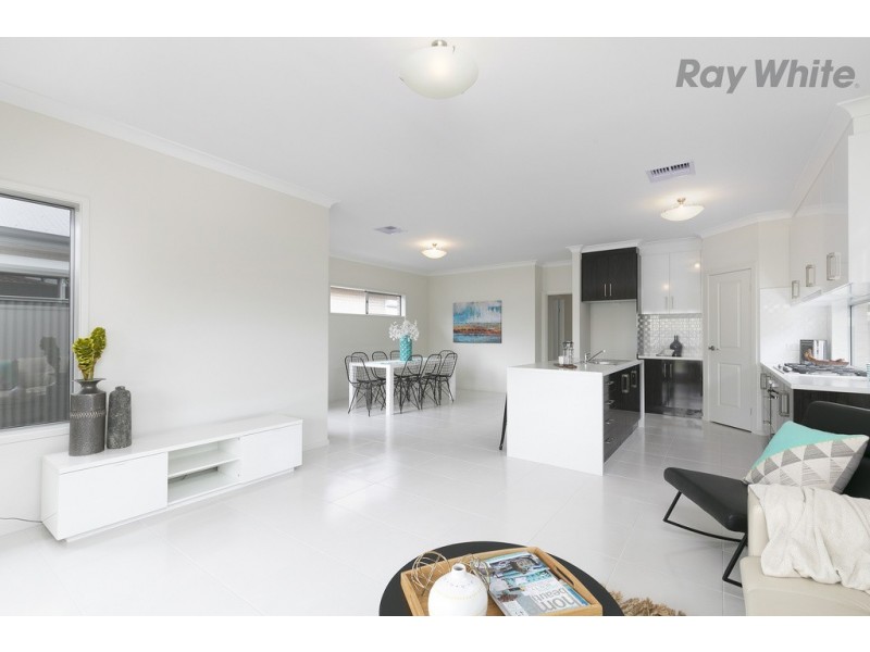 3 Comet Avenue, Netley SA 5037