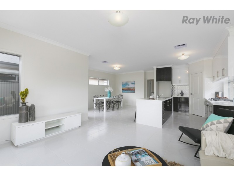 3 Comet Avenue, Netley SA 5037