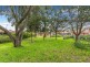 11 Fairmont Ave, Black Forest SA 5035