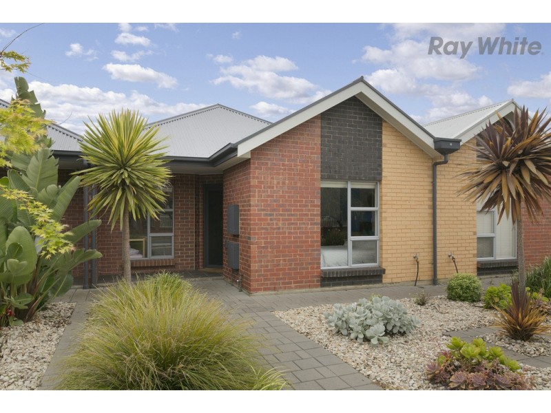 41 Flinders Street, Edwardstown SA 5039