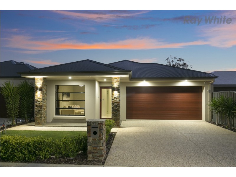 42 Hawker Avenue, Plympton Park SA 5038