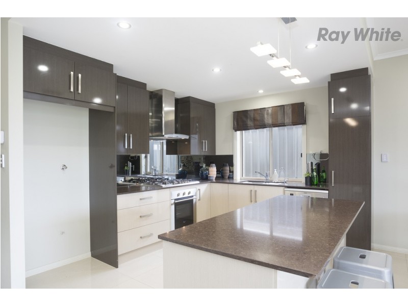 42 Hawker Avenue, Plympton Park SA 5038