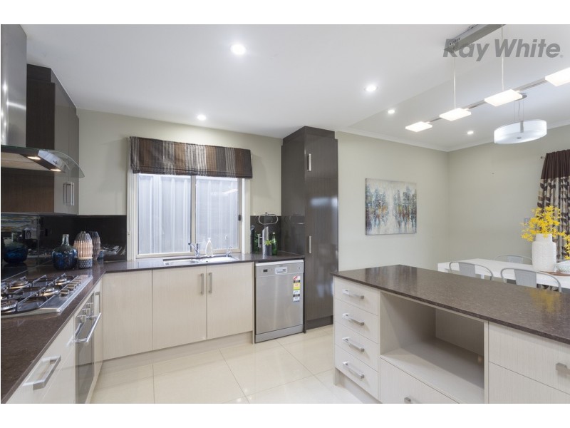 42 Hawker Avenue, Plympton Park SA 5038